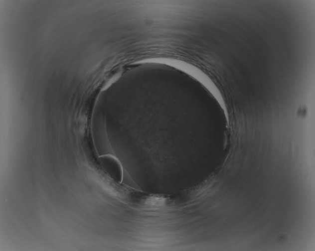 X0000110690227200906261351