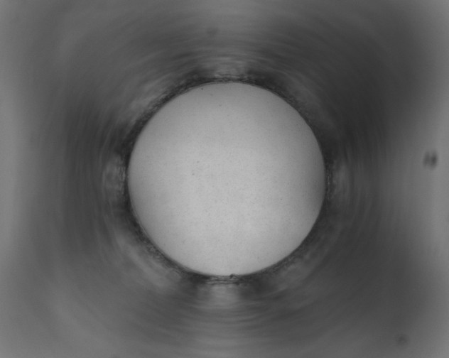 X0000110690228200906261351