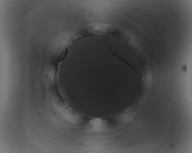 X0000110690231200906261351