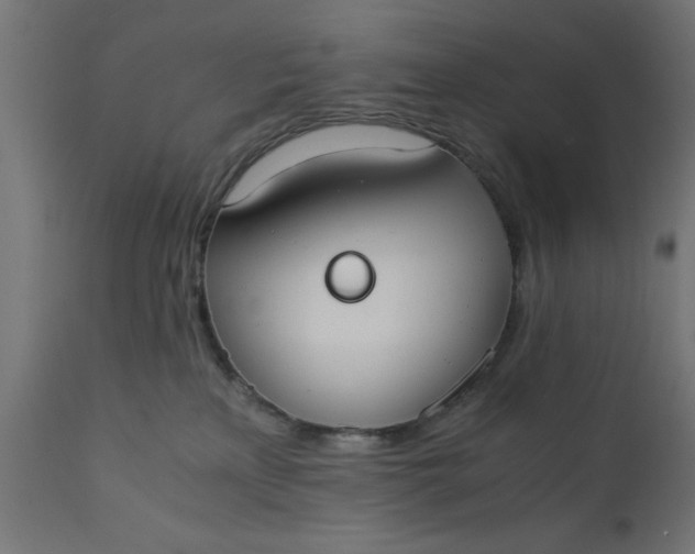 X0000110690233200906261351