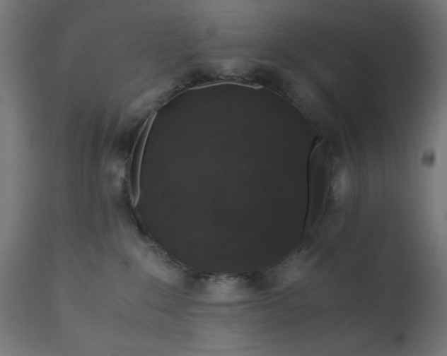 X0000110690235200906261351