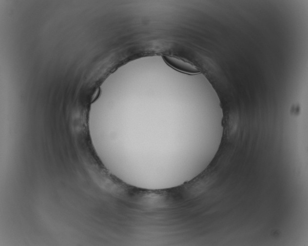 X0000110690236200906261351