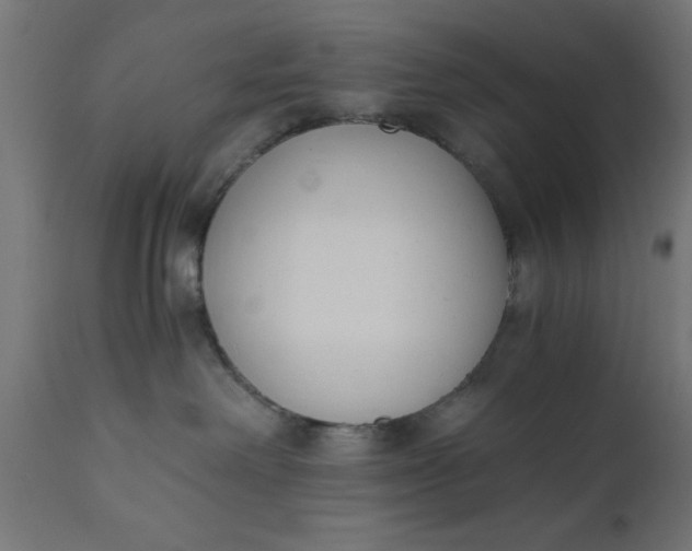 X0000110690238200906261351