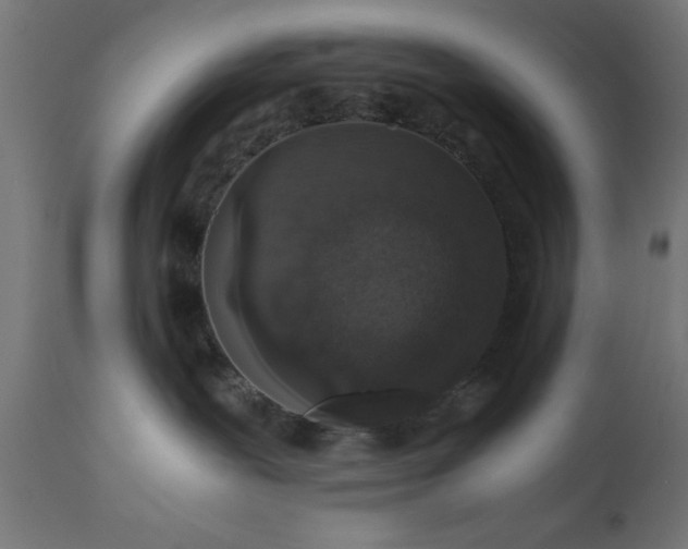 X0000110690239200906261351