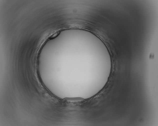 X0000110690241200906261351