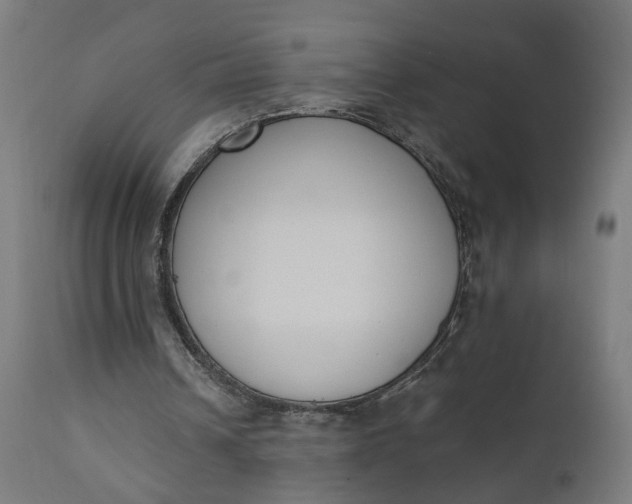 X0000110690242200906261351