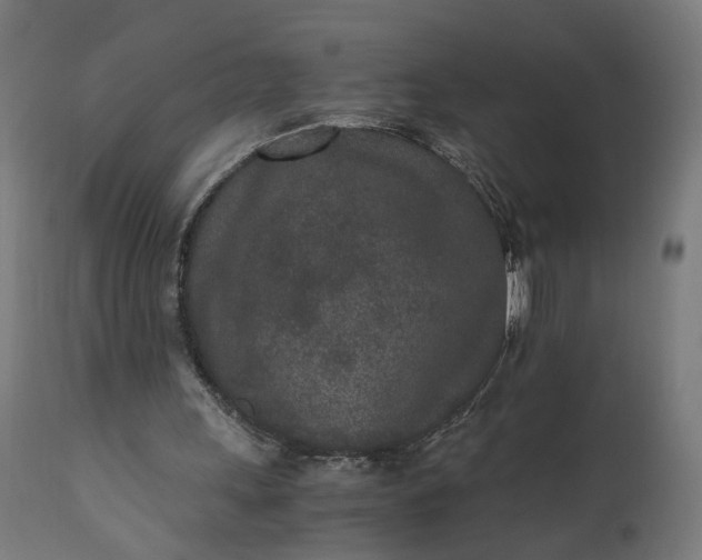 X0000110690243200906261351