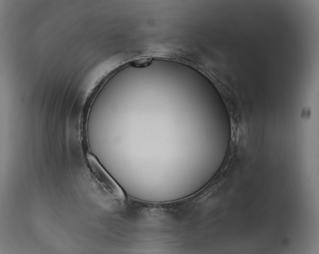 X0000110690244200906261351