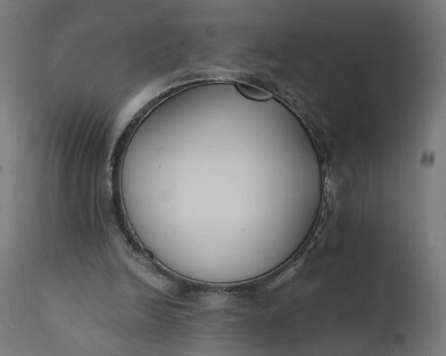 X0000110690246200906261351