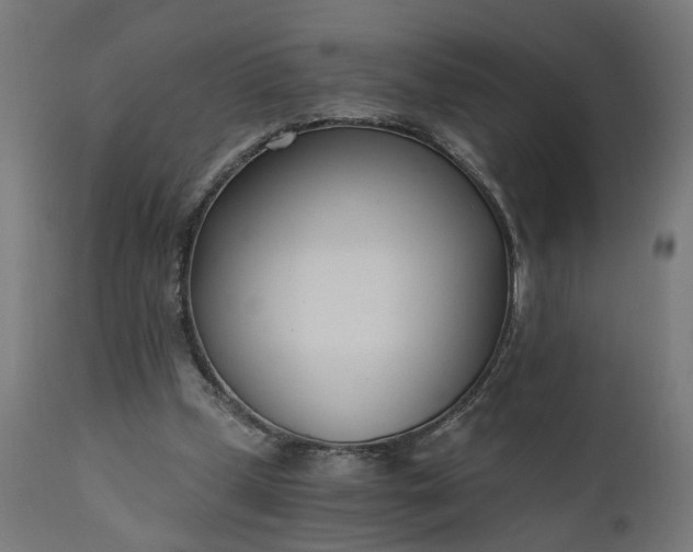 X0000110690249200906261351