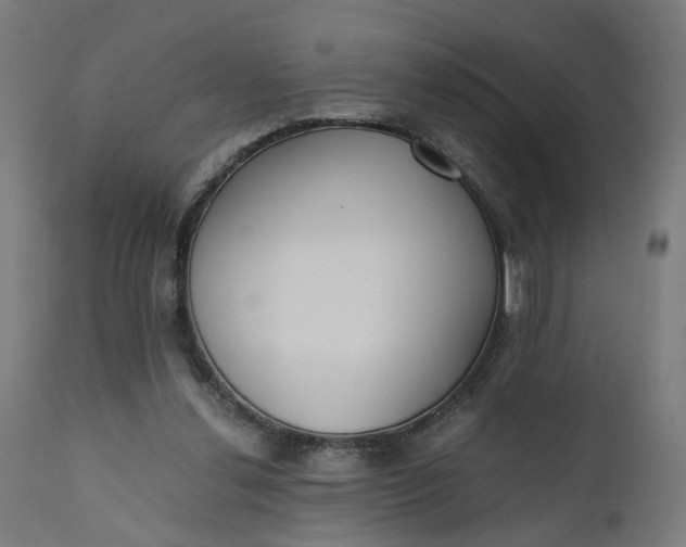 X0000110690252200906261351