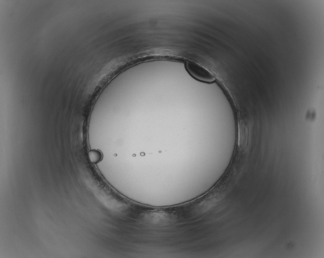 X0000110690253200906261351