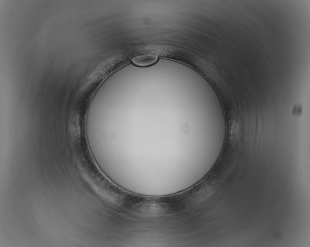 X0000110690254200906261351