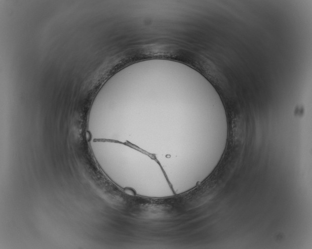 X0000110690255200906261351