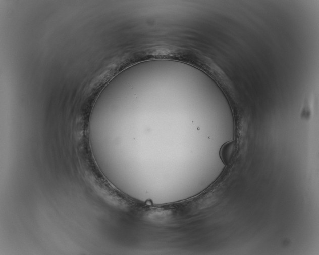 X0000110690257200906261351