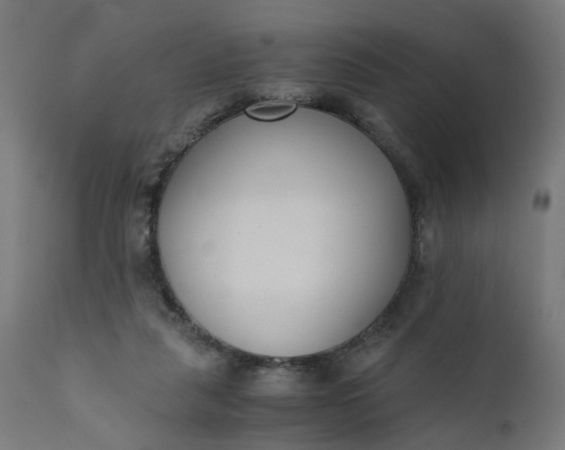 X0000110690259200906261351