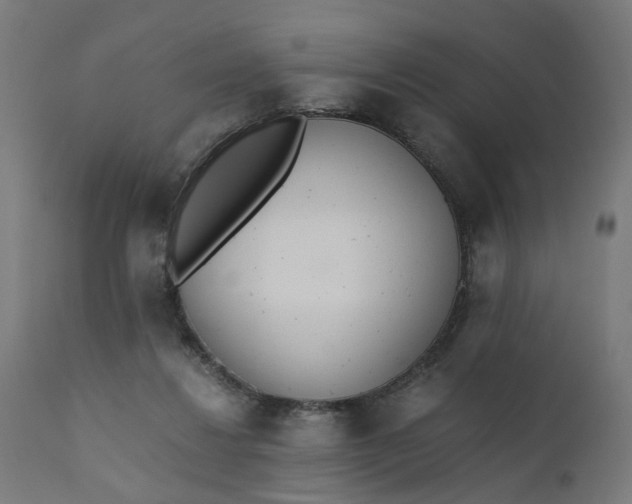 X0000110690260200906261351