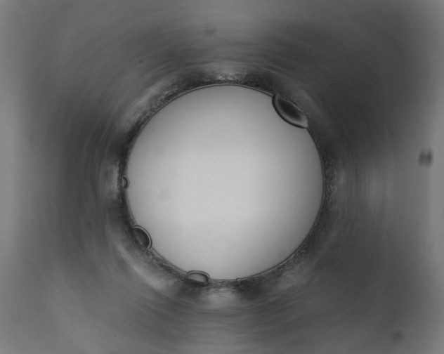 X0000110690262200906261351