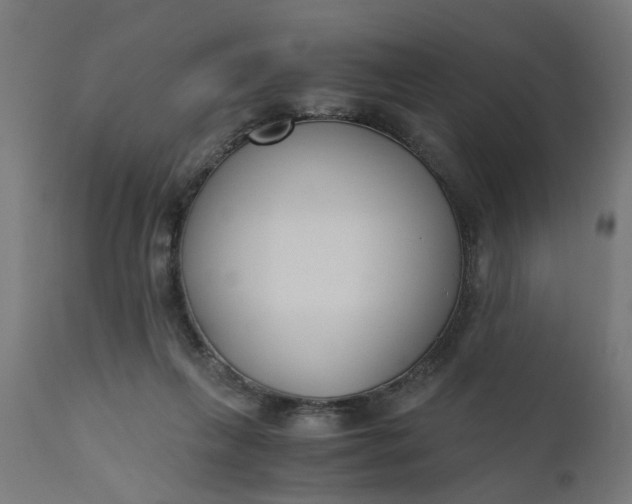 X0000110690263200906261351