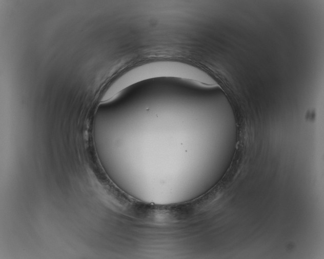 X0000110690264200906261351