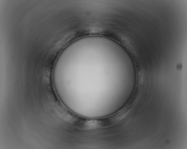 X0000110690269200906261351