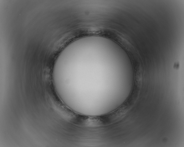 X0000110690270200906261351