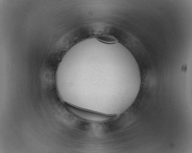 X0000110690272200906261351