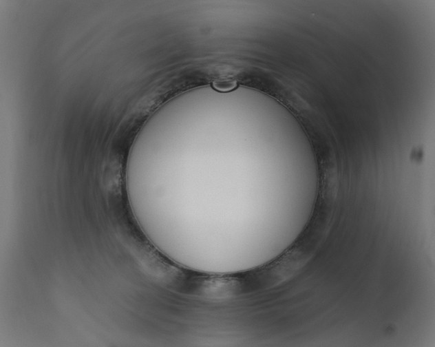 X0000110690274200906261351