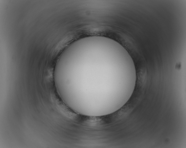 X0000110690278200906261351