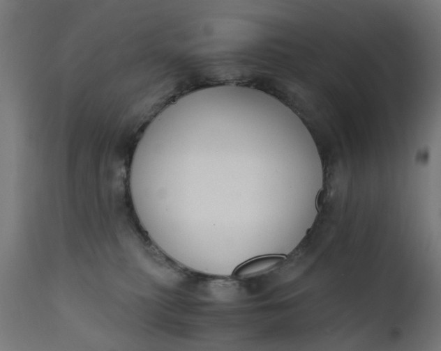 X0000110690279200906261351