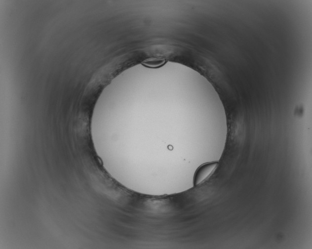 X0000110690283200906261351