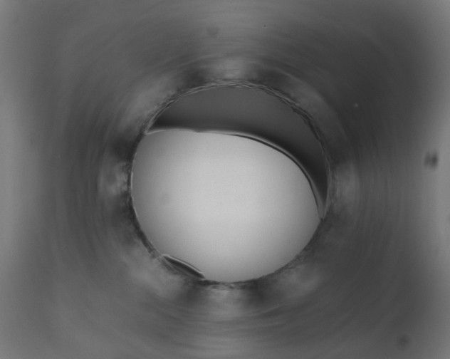 X0000110690284200906261351