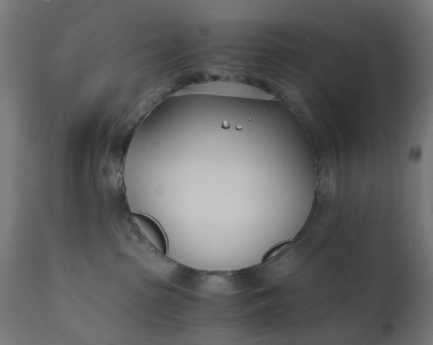 X0000110690285200906261351