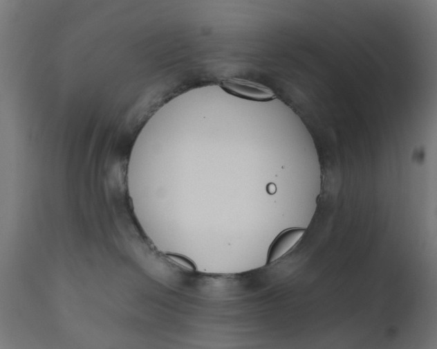 X0000110690286200906261351