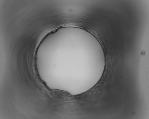 X0000110690289200906261351