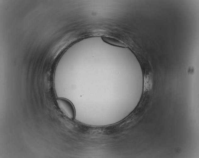 X0000110690291200906261351