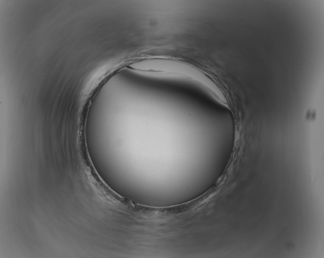 X0000110690293200906261351