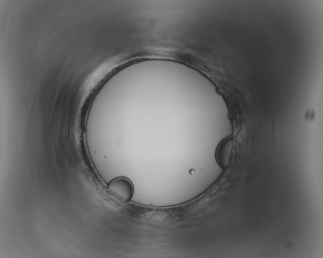 X0000110690294200906261351