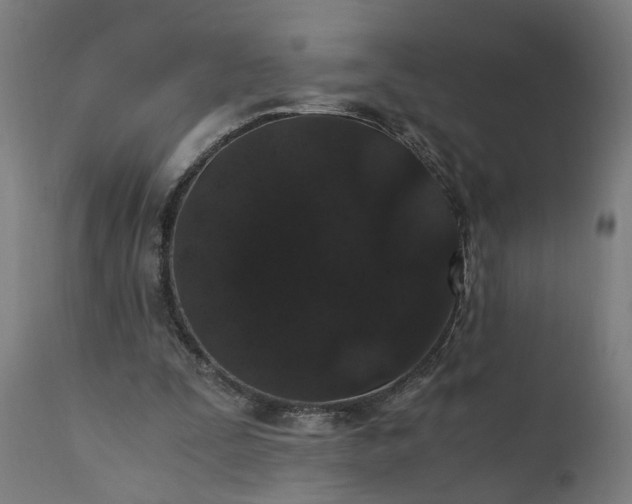 X0000110690295200906261351