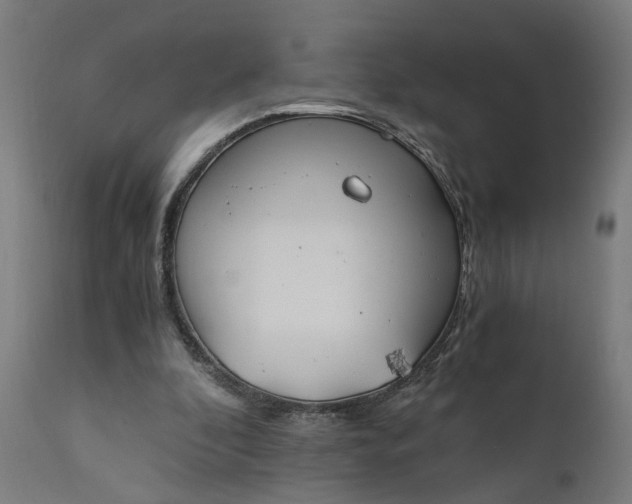 X0000110690296200906261350