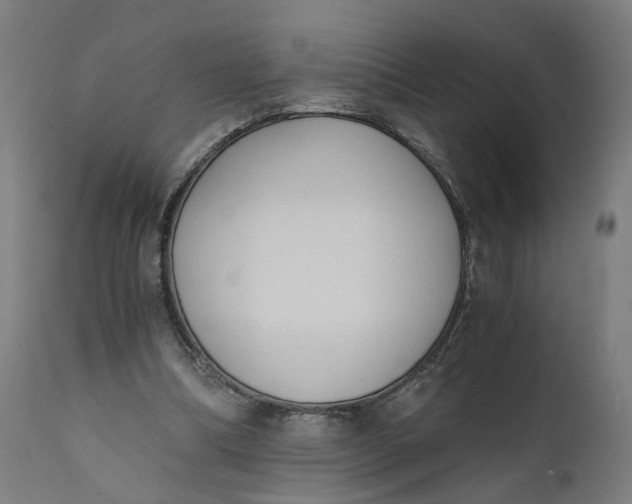 X0000110690298200906261350