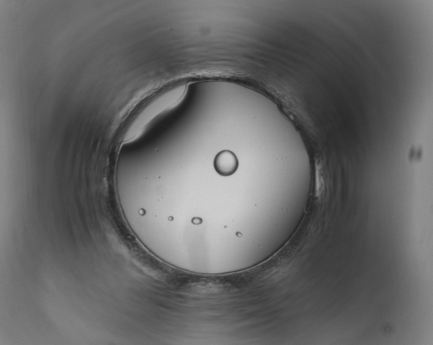 X0000110690300200906261350