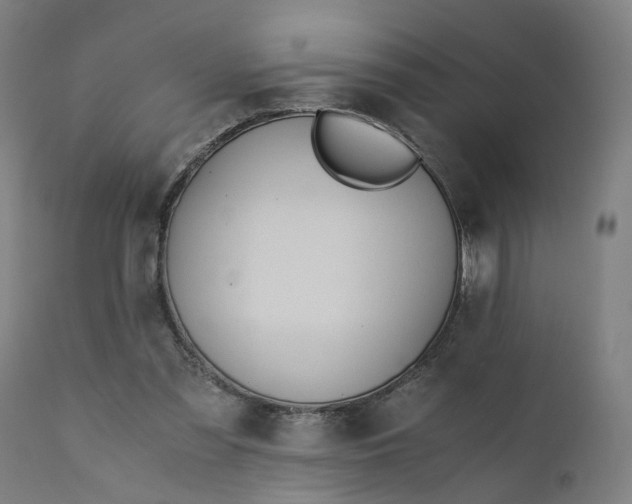 X0000110690301200906261350