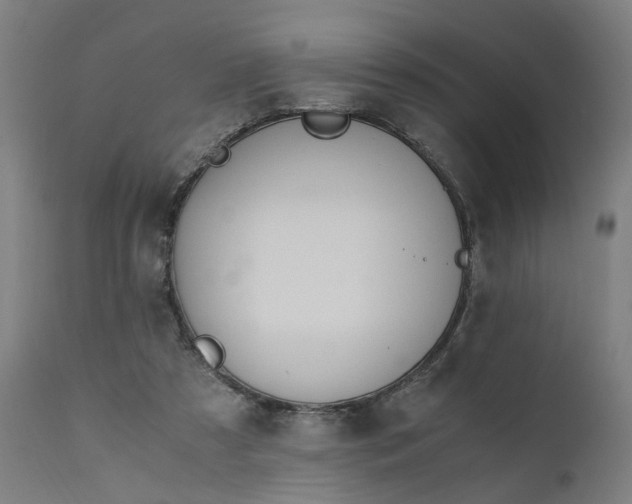 X0000110690305200906261350