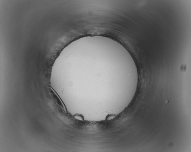 X0000110690307200906261350