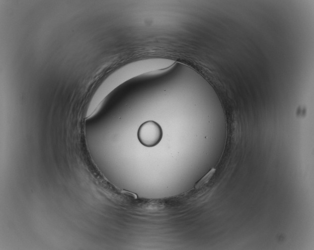 X0000110690308200906261350