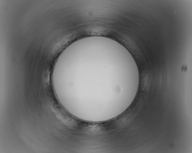 X0000110690310200906261350