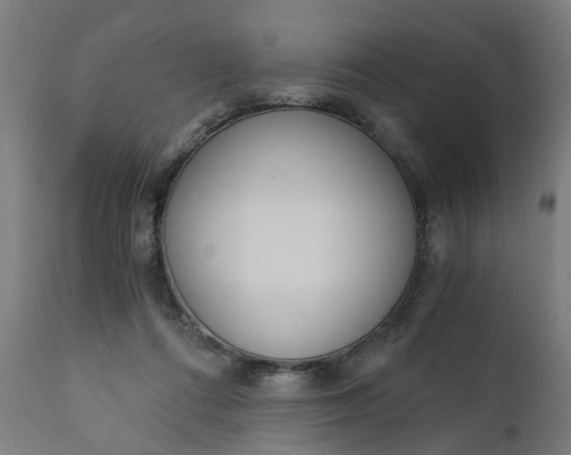 X0000110690312200906261350