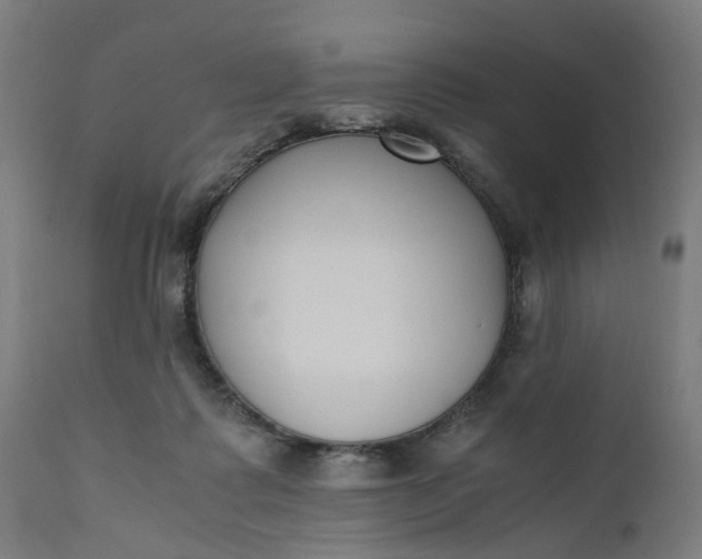 X0000110690315200906261350