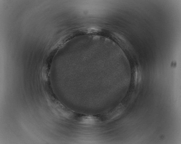 X0000110690316200906261350